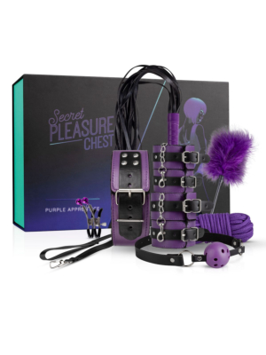 Secret Pleasure Chest - Purple Apprentice - image 1