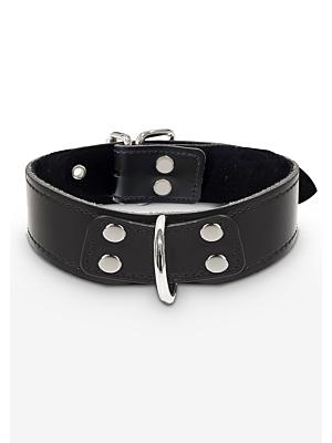 Elegant D-Ring Collar