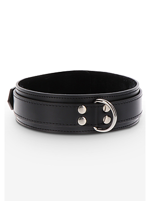Heavy D-Ring Collar