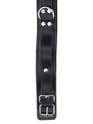 Heavy D-Ring Collar