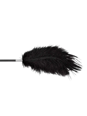 Fetish B-Series Tickler & Whip 1.0