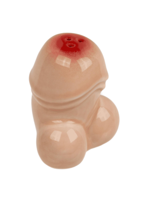 Naughty Penis Salt & Pepper Shakers - Ceramic Novelty Set