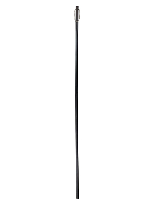 Cane