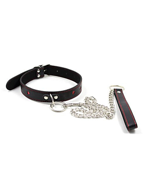 Easy Collar Leash