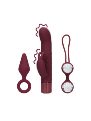 (S)explore - Vibrating Sex Toy Kit for Her - Dark Cherry