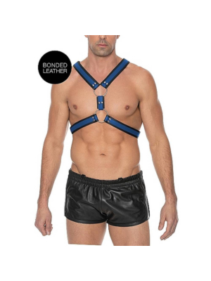 Scottish Harness - Blue-SM