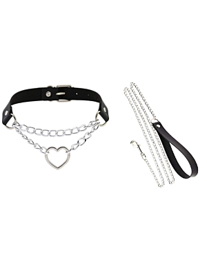 Deluxe Silver Chain Collar and Leash Set