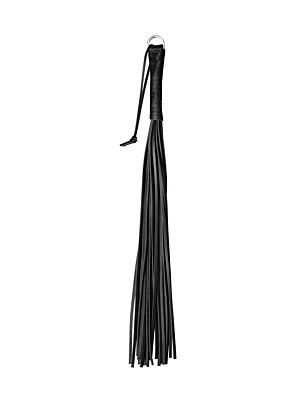Xavier Whip - 24 strings
