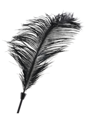 Love Plumes