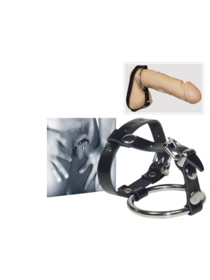 BDSM Cock Ring