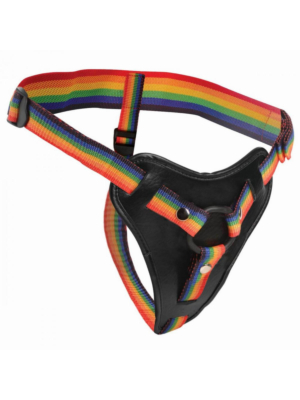 Take The Rainbow - Universal Rainbow Harness
