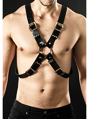 Leather belt accessory - 2002626