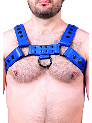 Snap Real Leather Harness Blue - Taille