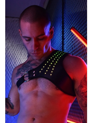 SYNERGY Breedwell Lighted Harness