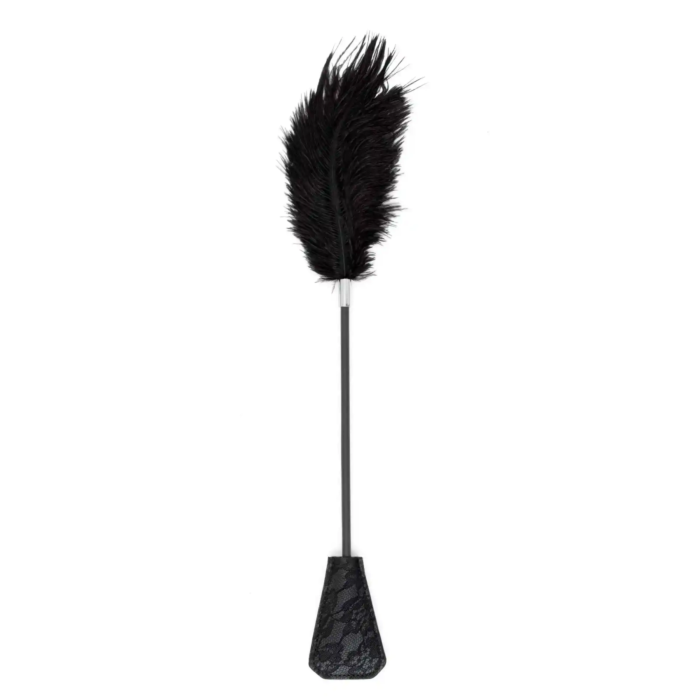 Fetish B-Series Tickler & Whip 1.0