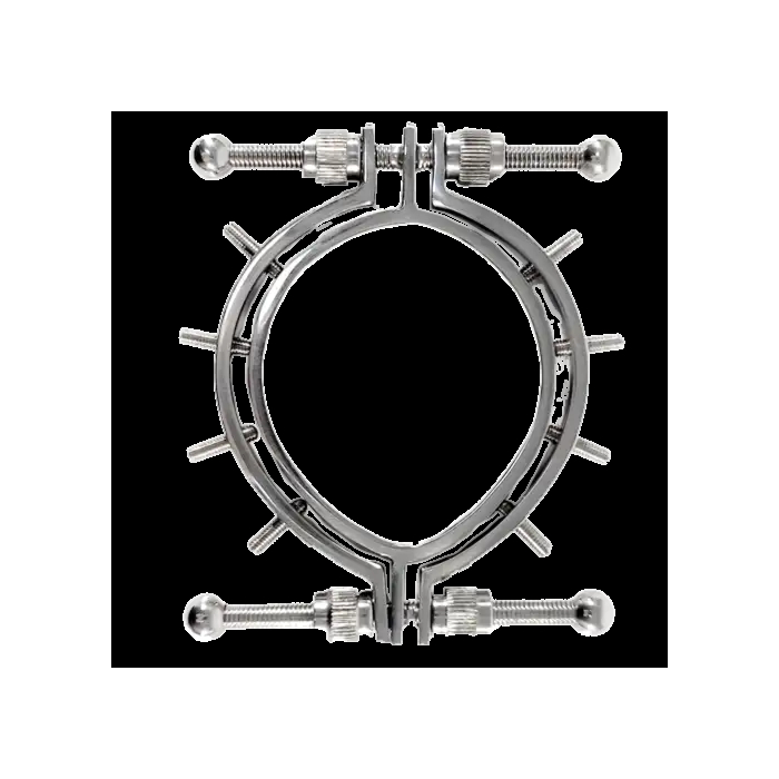 Stainless Steel Pussy Clamps With Spikes