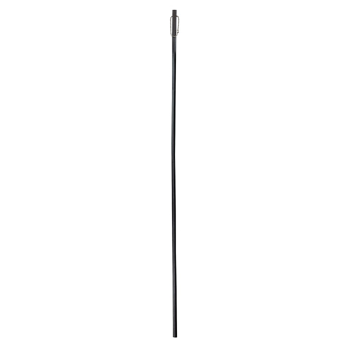Cane