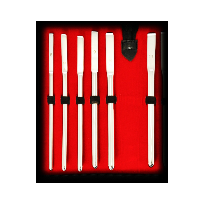 Black Label: 6-Piece Stainless Steel Sounding Set