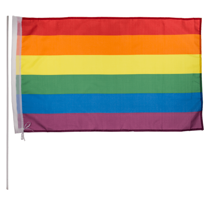 Flag Pride 90 x 60 cm With Plastic Stick