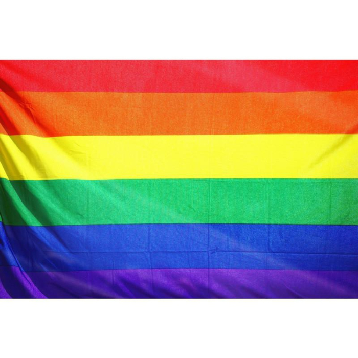 Pride Rainbow Flag 60 x 90cm