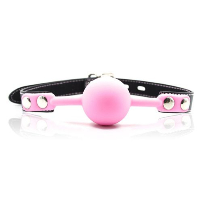 Ball Gag + Block (Pink)