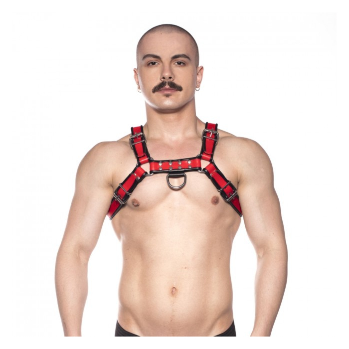 Prowler RED Bull Harness Black/Red Medium
