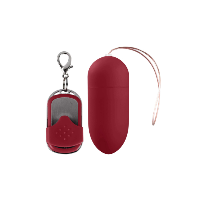 10 Speed Remote Vibrating Egg - Big - Pink