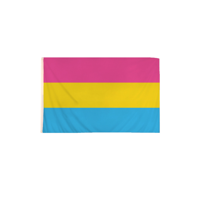 5 x 3 Feet Pansexual Flag with Brass Eyelets